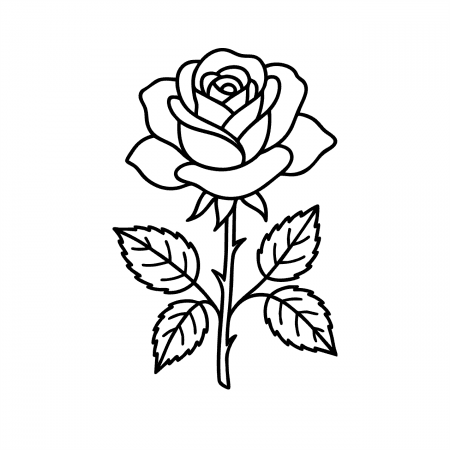 Single rose flower coloring page with detailed petals